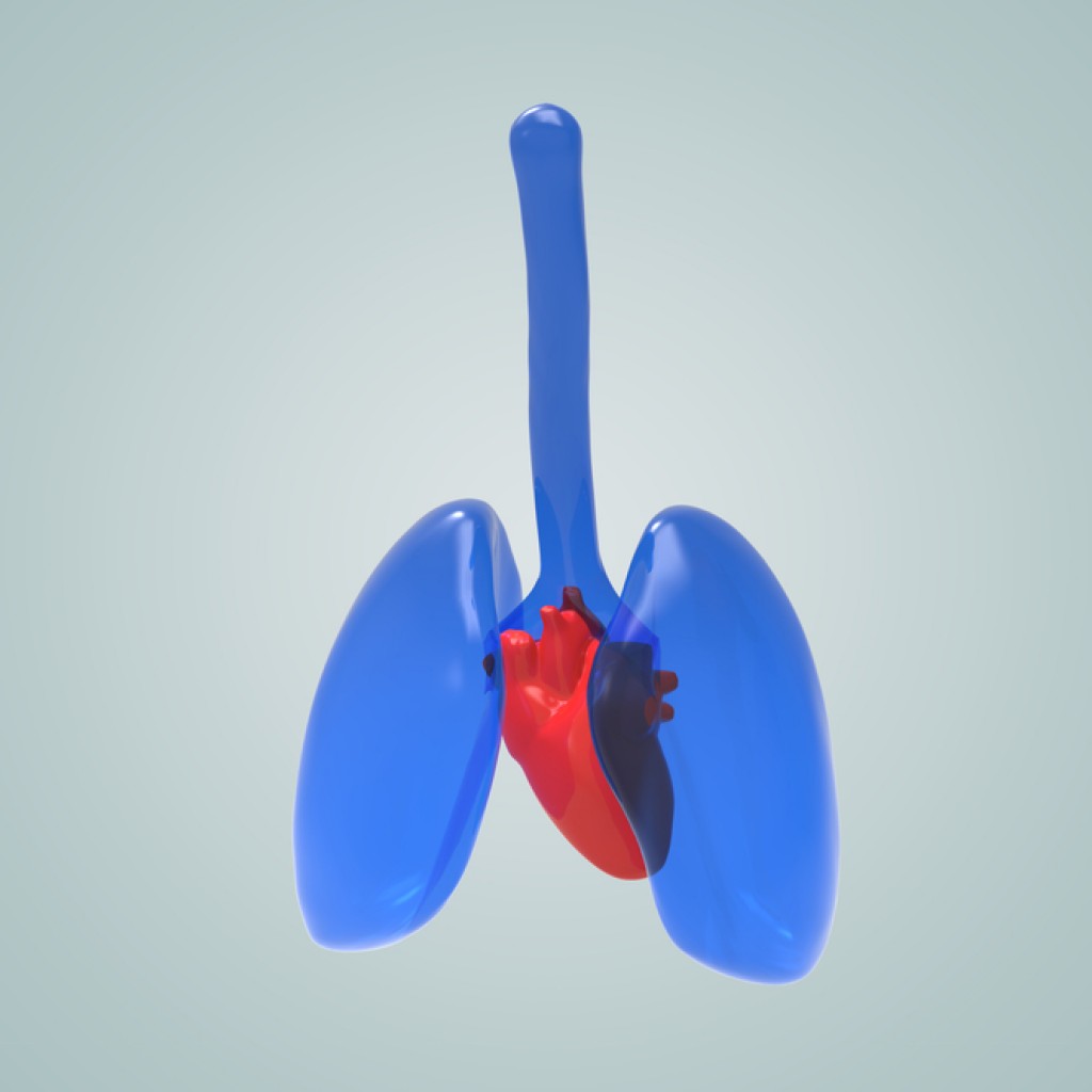 An Exciting Time for Research into CTEPH Discussed in