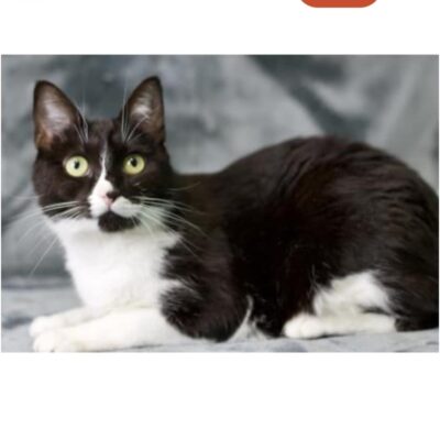 445730910_10161314716103908_3714267950845075747_n