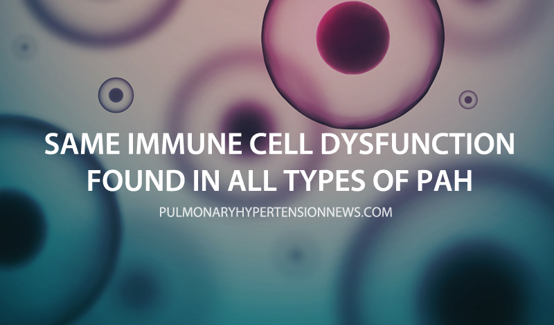 pah immune cells