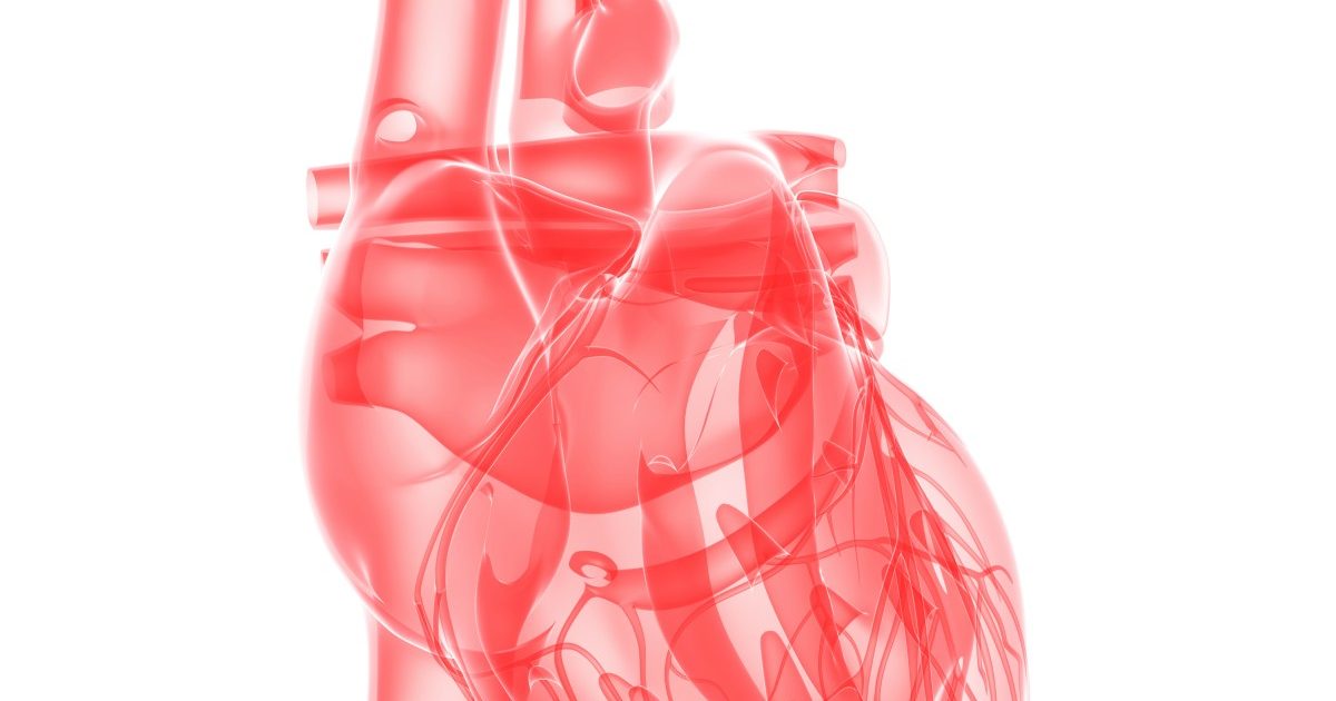 Right Ventricle Dysfunction in PAH May Be Treated by Drug Targeting a ...