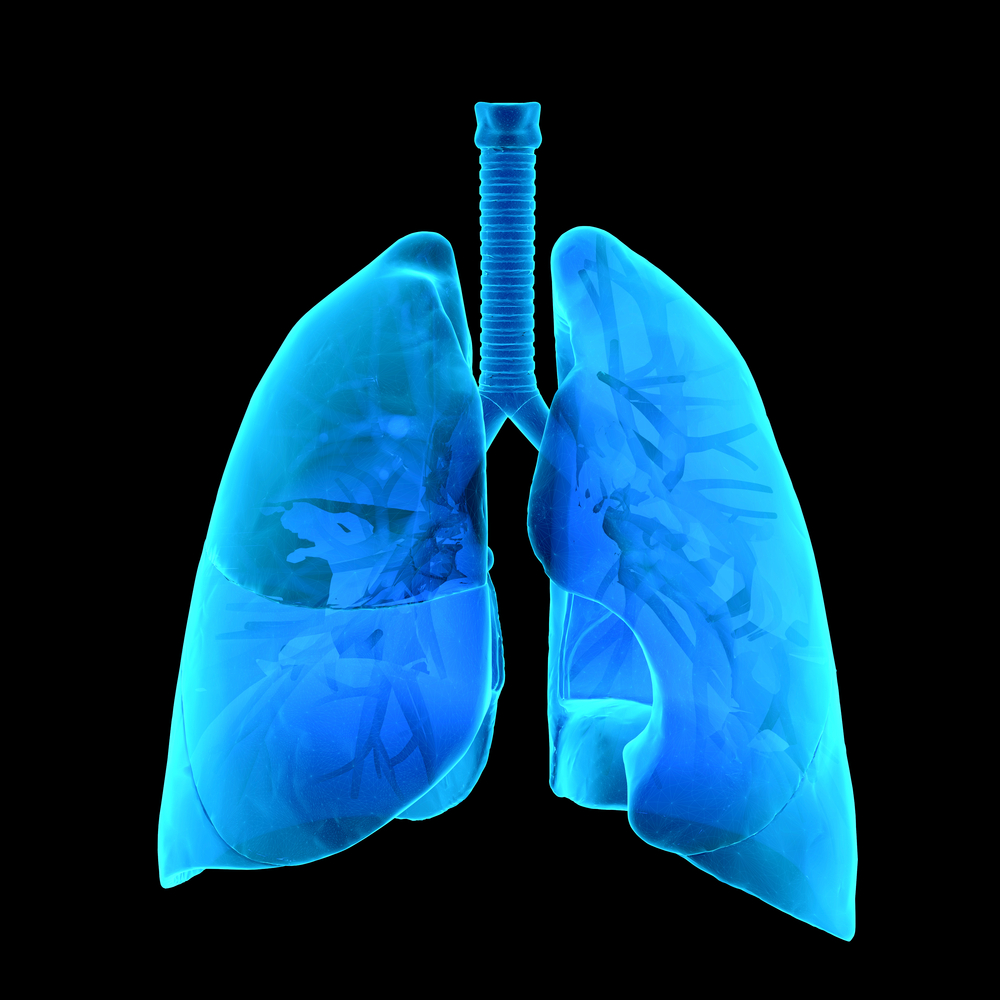 PAH Related Heart Dysfunction, Fibrosis May be Thwarted by Controlling ...