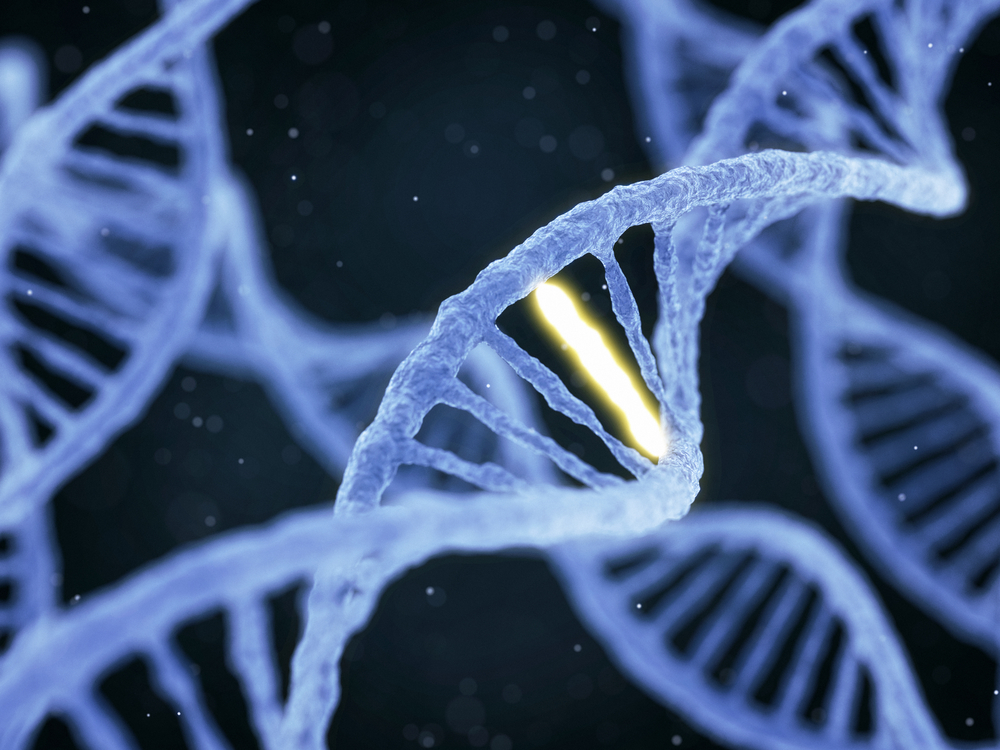 gene mutation and PAH