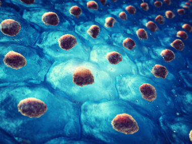 PH lung repair