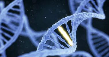 PPHN linked 3 genetic mutations