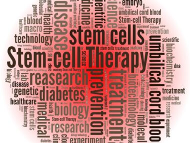 PAH and stem cells