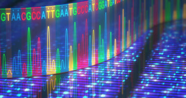 genetic variants, PAH