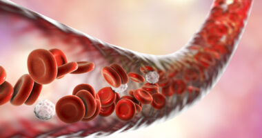 platelet respiration