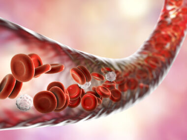 platelet respiration