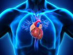 heart transplants and survival