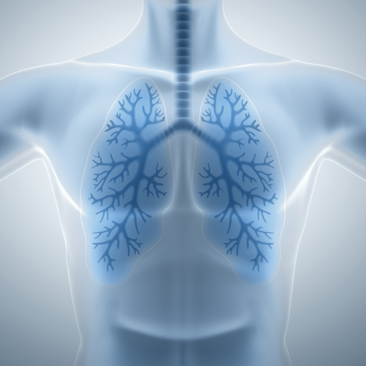 EYA3 vascular remodeling