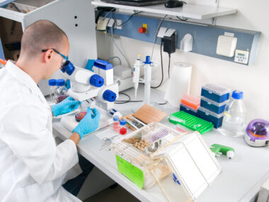 TGF-β signaling study