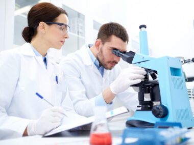 adipose tissue, fat metabolism