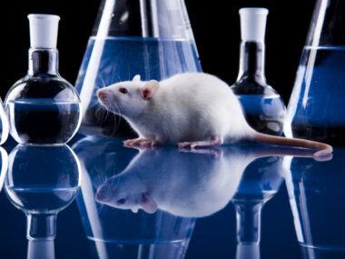 high chloride levels in PASMCs/pulmonaryhypertensionnews.com/rat model