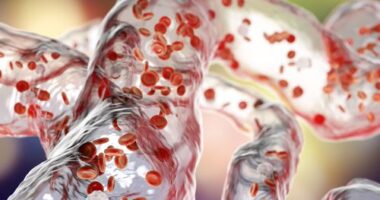 Levosimendan/pulmonaryhypertensionnews.com/new mechanism of action uncovered