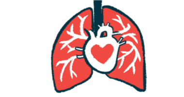 A heart symbol is pictured on a human heart that's nestled between a pair of lungs.