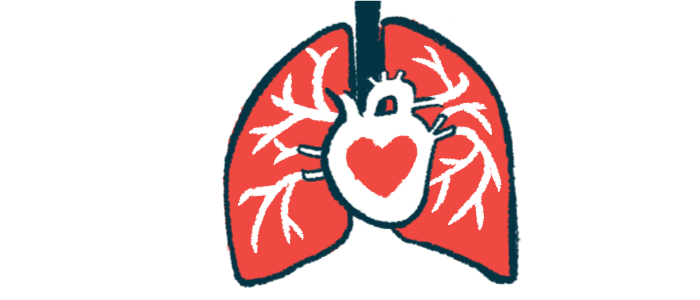 A heart symbol is pictured on a human heart that's nestled between a pair of lungs.