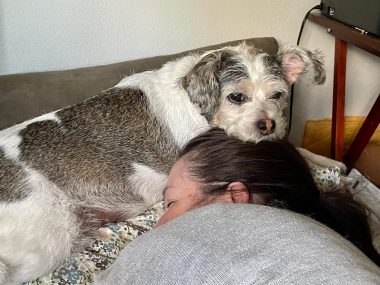 pets and caregivers | Pulmonary Hypertension News | Colleen's smaller dog sleeps on Colleen's head in a bed when Colleen was sick with the flu