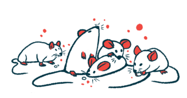 An illustration of five rodents clustered together.