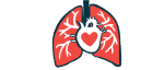 A heart-shaped image is superimposed on a heart connecting to two lungs.