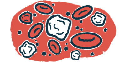 White blood cells are shown in a droplet of blood.