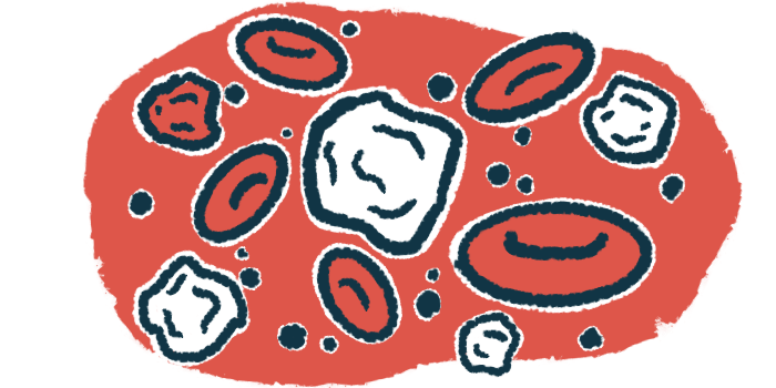 White blood cells are shown in a droplet of blood.