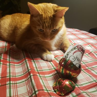 An orange tabby cat lies on a holiday table cloth with a Christmas next to a Christmas ornament