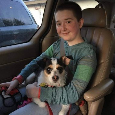 A young boy sits seat-belted in a vehicle with a young Jack Russel terrier on his lap. Both are looking at the camera, and the boy is smiling broadly.