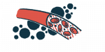 An illustration shows individual cells inside of a blood vessel.