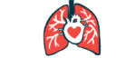 An illustration shows the heart and lungs, with a red heart superimposed on the actual heart.