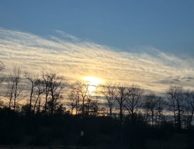 The sun sets behind wispy clouds that are sitting close to the horizon. The silhouettes of trees reach up toward the sky.