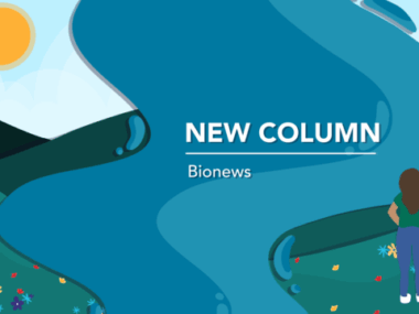 Banner image for new columnist.