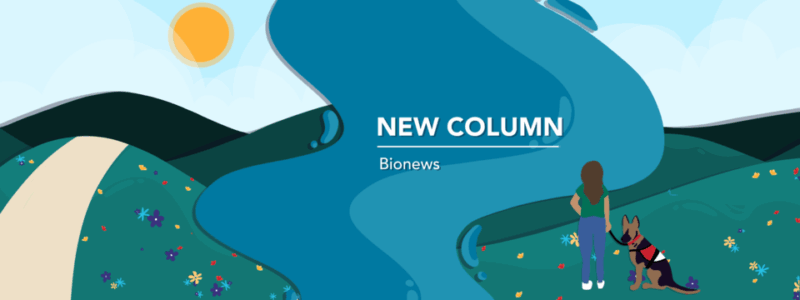 Banner image for new columnist.