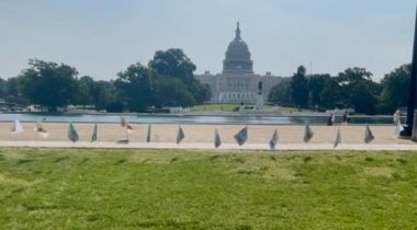 A row of small flags line a lawn in front of the U.S. Capitol.